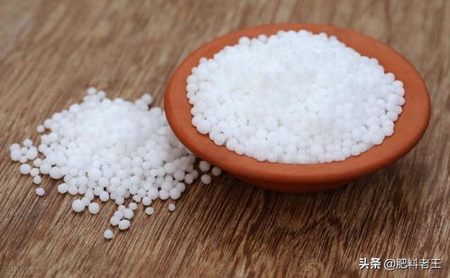 20220104尿素 鉀肥 復合肥市場行情