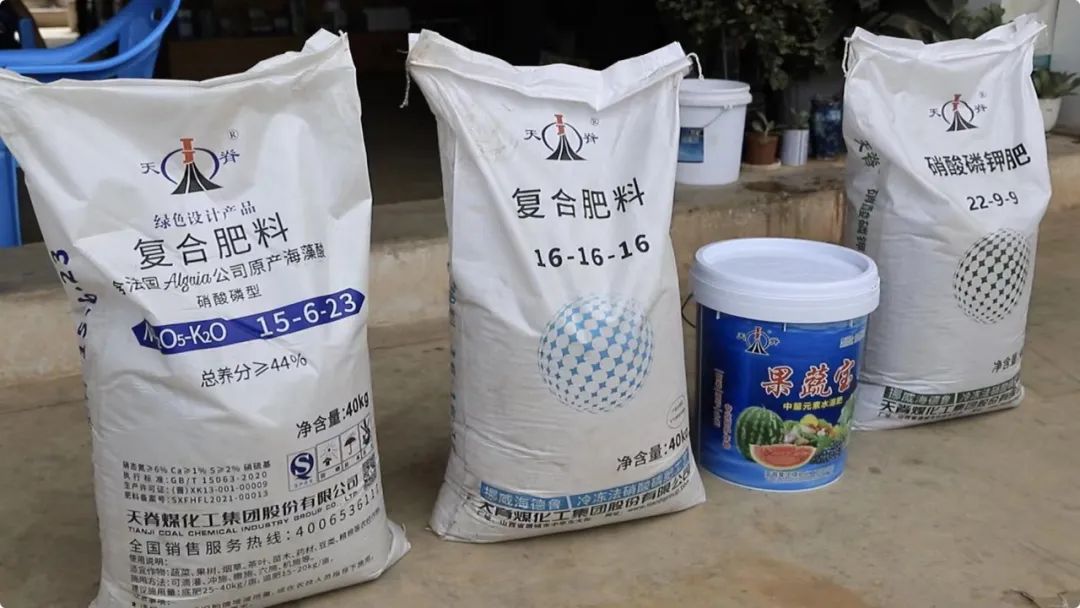 天脊田間故事新肥助力云南石屏縣西紅柿增值