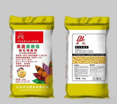 廠家促銷高塔復合肥|山東丹化肥業|0539-8528508圖片_高清圖_細節圖-山東丹化肥業 -