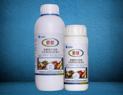 多功能水溶肥與傳統復合肥的對比分析