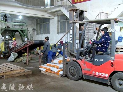 宜施壯 以創(chuàng)新為支點(diǎn)，實(shí)現(xiàn)復(fù)合肥產(chǎn)業(yè)的“撐桿跳”